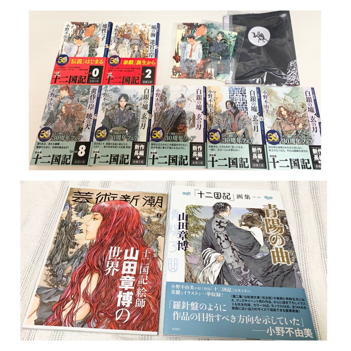 近況報告
①昔アニメ観てた(配信含め3周は見てる)
②画集の表紙の泰麒が性癖に刺さった
③アニメの後どうなったのか色々気になった
④「魔性の子」の存在を知った
⑤先週本屋で気まぐれに買ってみた
⑥↓今これ↓