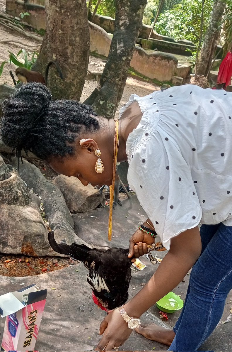 spiritual_wife's tweet photo. Aku ose Ifa,Esu,Osun ati Egbe
Olose a gba lowo wa o. Ase

Happy Ifa, Esu,Osun and Egbe  worship day
May all Orisa that own today answer our prayers and accept our offerings. Ase https://t.co/wZDCAaLgwn