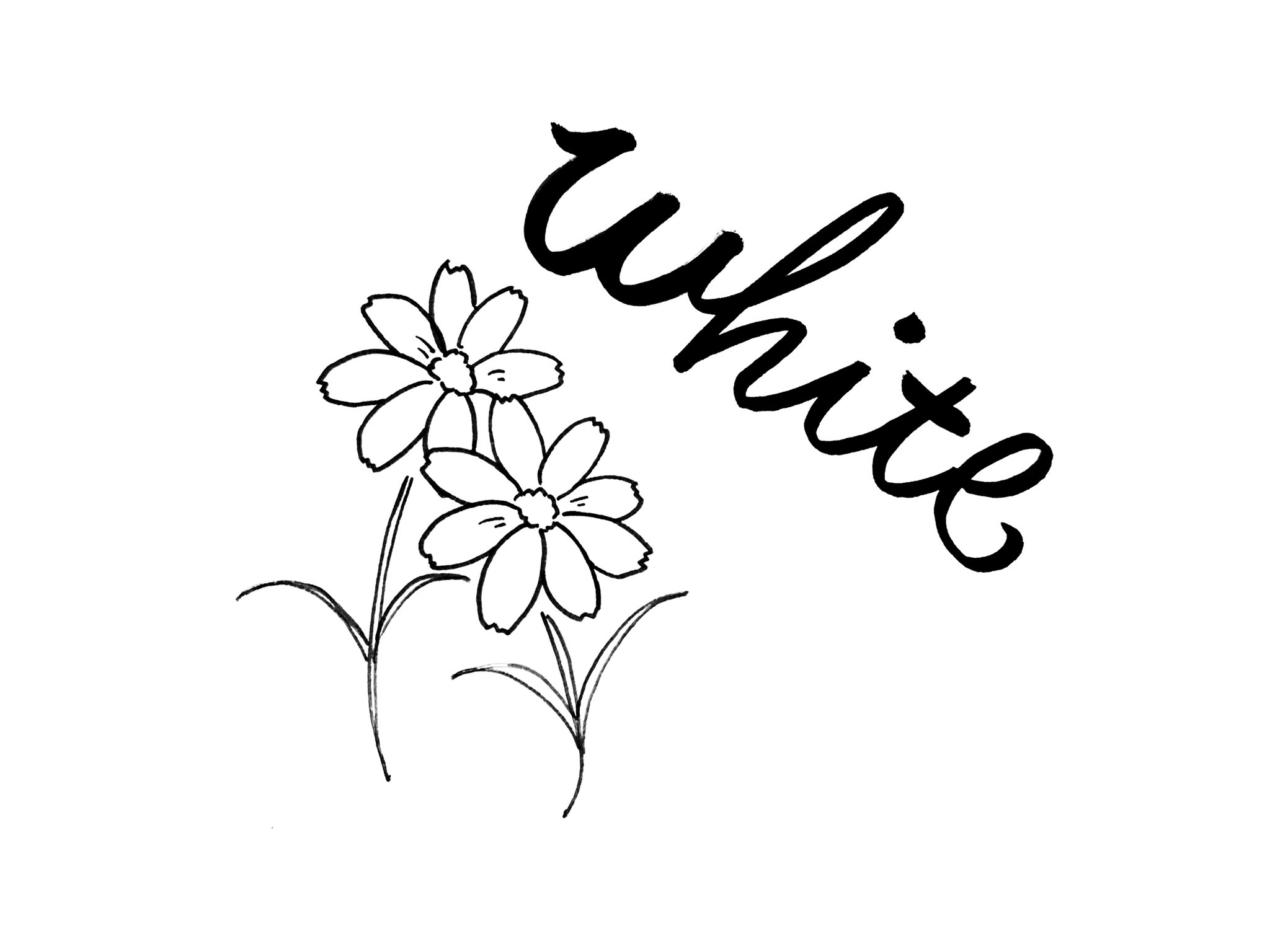 コスモスの日 Twitter検索 Twitter