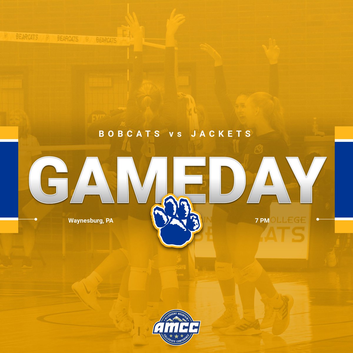 ANOTHER DAY, ANOTHER TRIP TO WAYNESBURG

🆚Waynesburg
⌚️7 PM
📍Waynesburg, PA
📺pacdigitalnetwork.com/waynesburgyell…
📊waynesburgsports.com/sidearmstats/w…

#DefendTheDen #RollCats #BlueAndGoldStandard