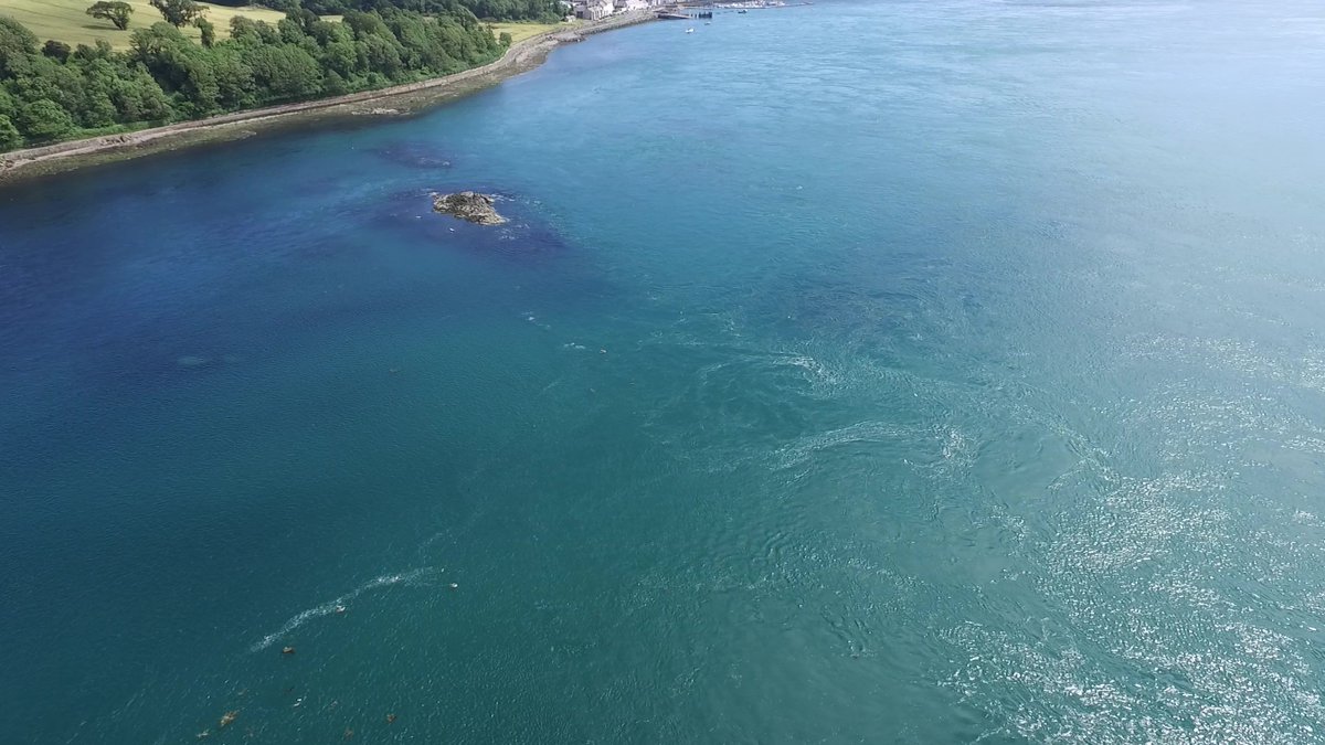 LilianLieber's tweet photo. 🫧NEW PAPER by @CostagliolaRay comparing #seabird numbers &amp; distributions using vantage point and aerial #drone surveys. Distributions linked to tidal cycle &amp; hydrodynamics (eg shear lines): https://t.co/TP9R5pN4Hu @AlexNimmoSmith @Nina_OHanlon @eamasden @PaulCaplat @wilsonjaredm https://t.co/OJUd5jAYoV