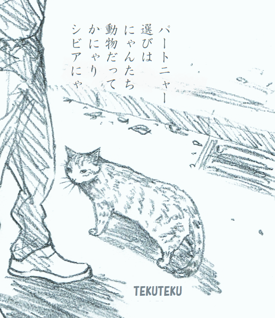 にゃん寄りにゃ🐱🎶
 #猫好き #illustration #オリジナルイラスト 