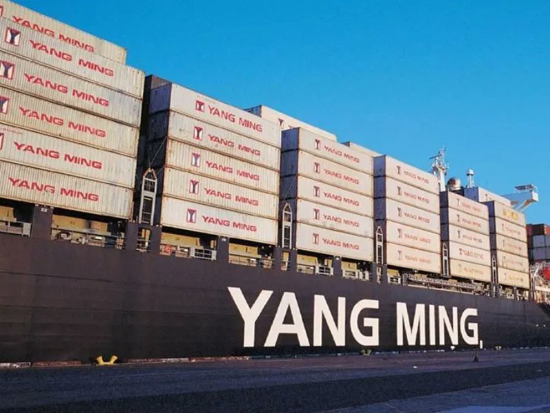 mundomaritimo's tweet photo. #YangMing alquila 6.000 contenedores reefer equipados con unidades #PrimeLINE de #EfficientCarrierTransicold #MundoMaritimo https://t.co/VP68xDvLh1 https://t.co/a9RgzYiSKO