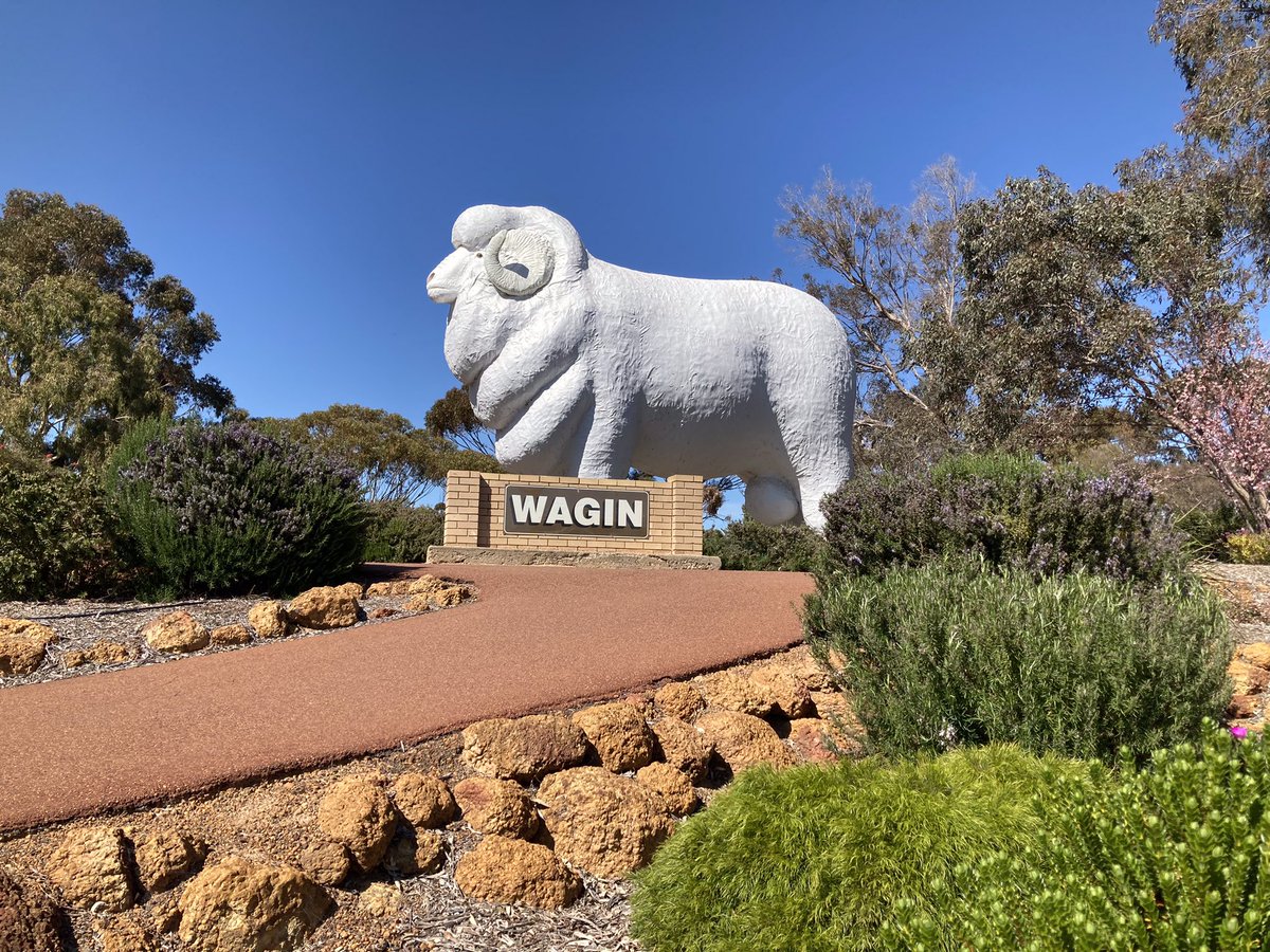 A CLAAS-y trip to WA, looking good for another bumper 🤞