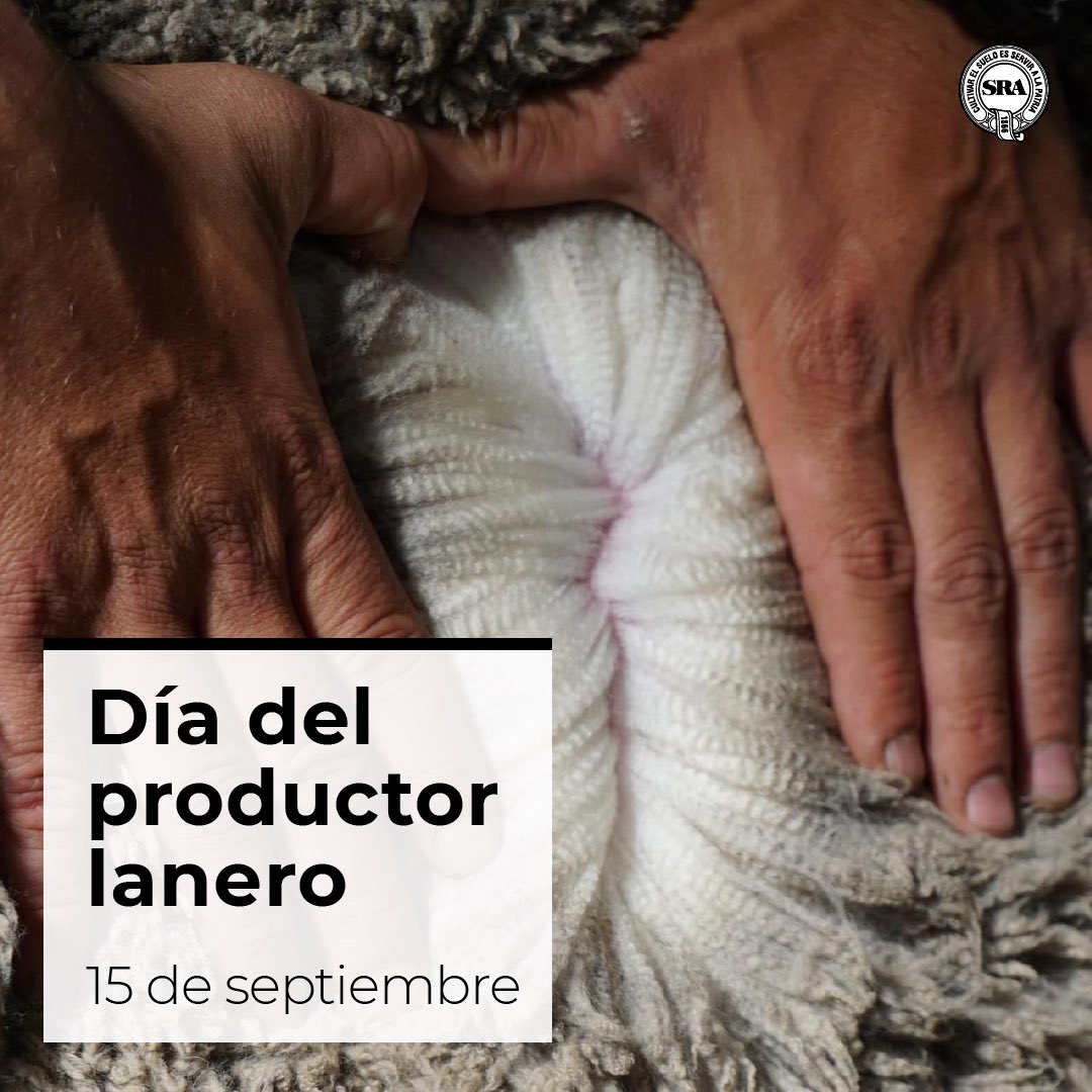SociedadRural's tweet photo. En el día de la industria lanera saludamos a todos los productores que fueron, son y serán los encargados del crecimiento y del cuidado del ganado ovino en nuestro país.
¡Feliz día! https://t.co/v2GDJSUVoo