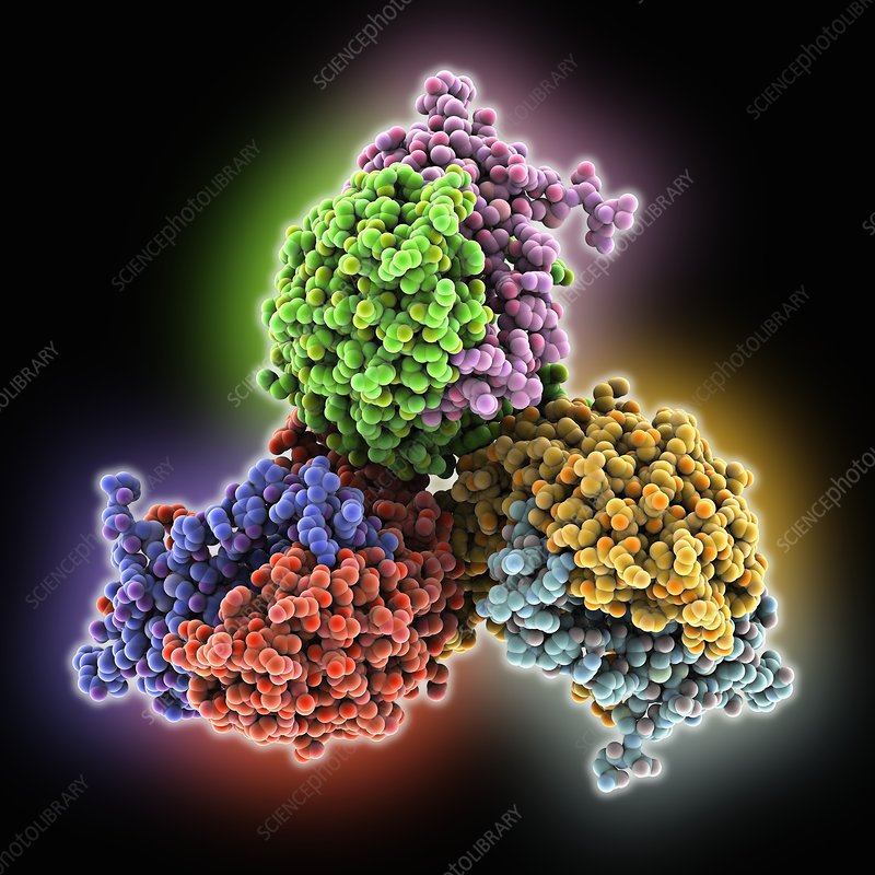 mcg_urology's tweet photo. Are higher pre-diagnosis follicle stimulating hormone levels associated with long-term prostate cancer risk? @KyleDymanus 
@ThomasPolascik @SFreedlandMD @zklaassen_md 
https://t.co/PLhrQTDdOS https://t.co/TeqsSVzY2X