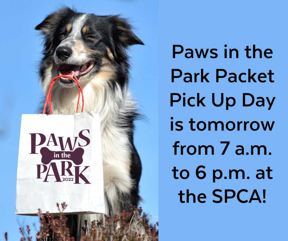 YourSPCA's tweet photo. If you haven't registered for Paws in the Park, you can do so here, https://t.co/WFSkT6yX6I and pick up your goodie bag tomorrow! https://t.co/iRjMff96vJ