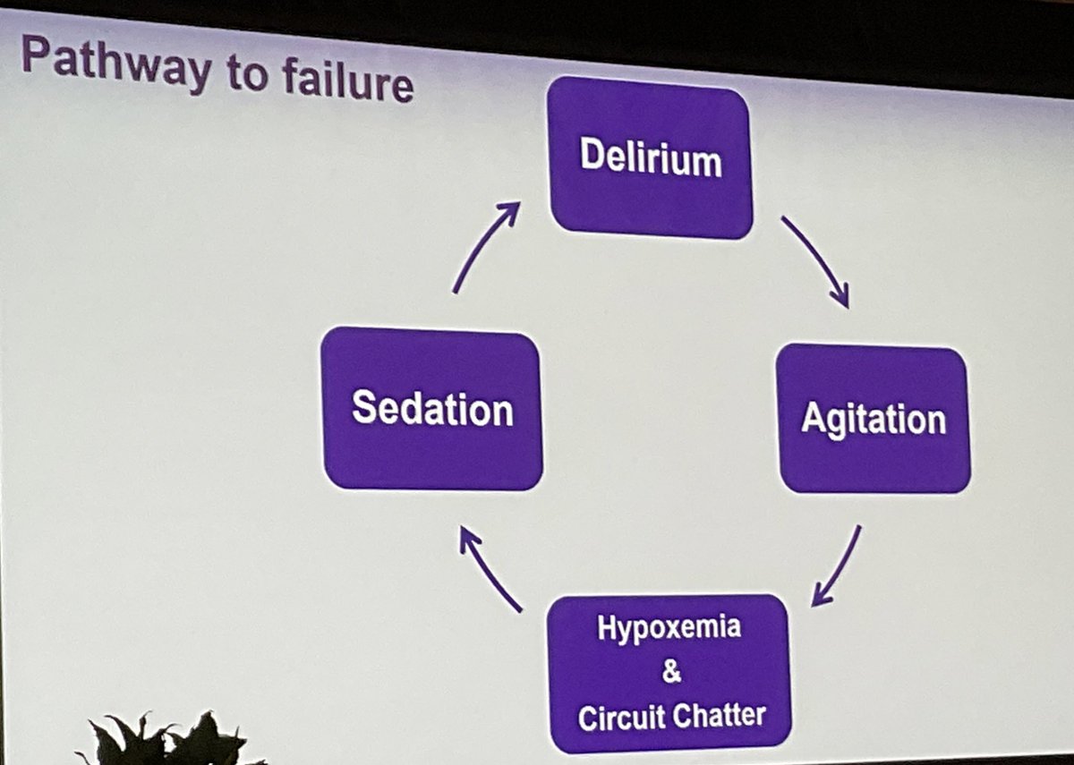 abribriesco43's tweet photo. /2 #ELSO2022 @ELSOOrg 

#PathwayToFailure

#Sedation: short term solution but fuels cycle.  “Just say No” to #benzos

Cannula placement: too low ➡️ #chugging due to collapsable part of #IVC

Plan for increased #CardiacOutput with #Ambulation / #Exercise ➡️ think #Hemoglobin https://t.co/6DdhWQ9c15