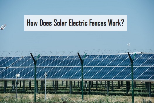dayanamueler's tweet image. How Does Solar Electric Fences Work?

#solar #automatic  #automaticlighting  #AutomaticElectricity #solarpanel #solarenergy #bringthenature  #affordable  #convenience #lowcost #gosolar #cleanenergy #renewableenergy #longlastinggurentee #solarfencing #solargroundfence