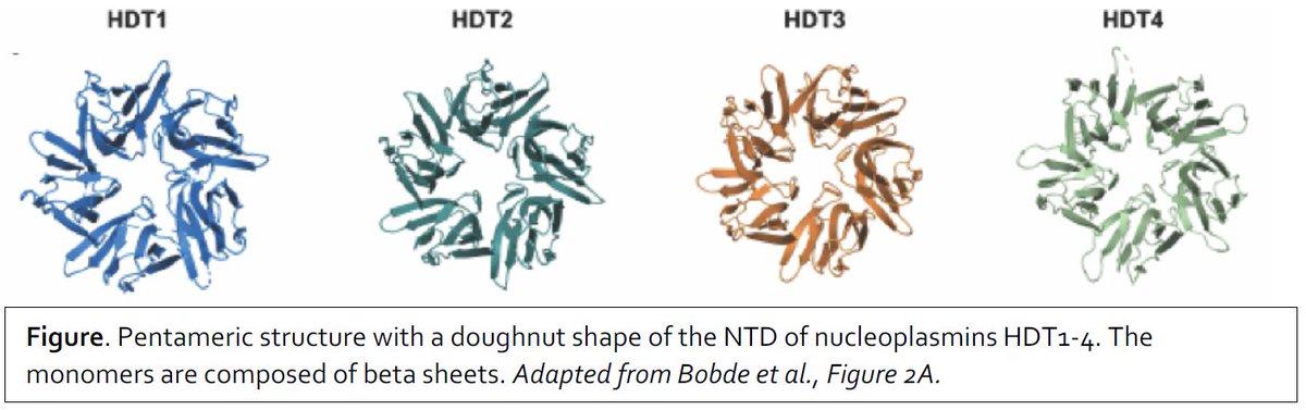 ThePlantCell's tweet photo. IN BRIEF:  HD-tuin proteins, the ugly ducklings of histone deacetylases (Sofía Otero @gene_tonic_  ) https://t.co/3iSMQWRRhl  @ruchirbobde @Ashishk1722 @dileepvasudevan @lab_vasu @DBT_ILS @ASPB #PlantSci https://t.co/LGLsRQhKki