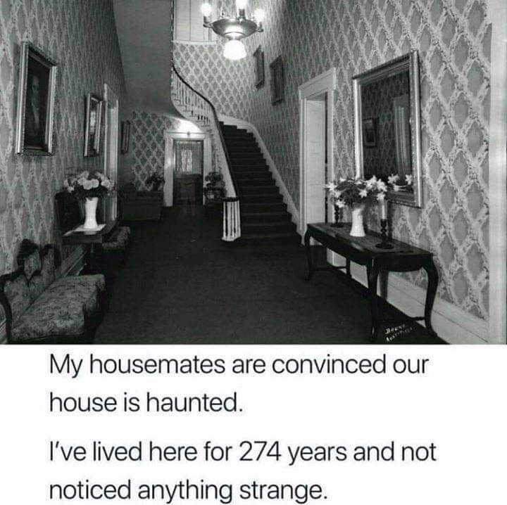 Katrina5Mm's tweet image. 😂👻 #ImAwesomesauce