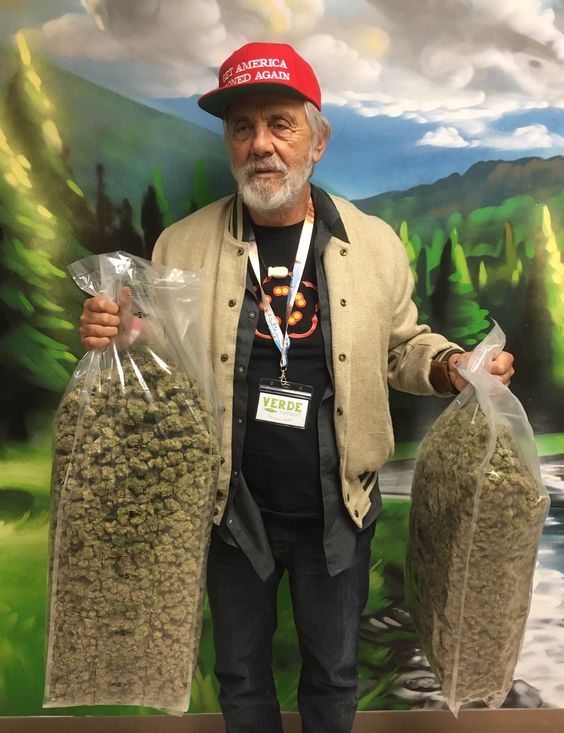 Herbworthy's tweet image. Friday energy. 🔥 @tommychong