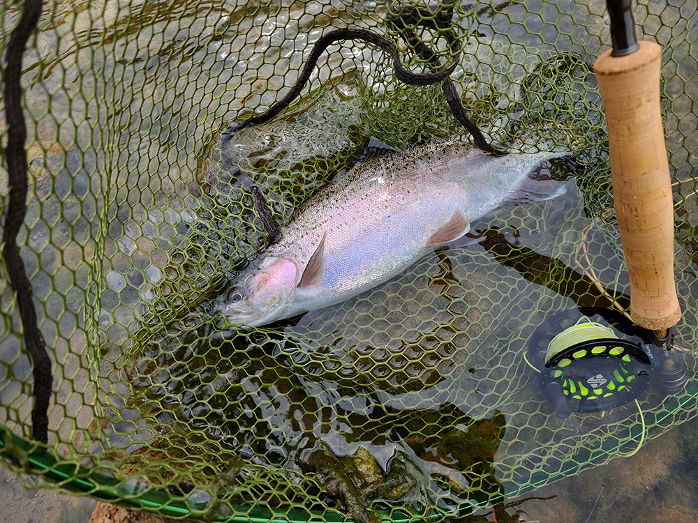 SnowbeeUSA's tweet photo. little fishing on No Name River 
with a "Davy Wotton" Wet Fly &amp; Nymph Fly Rod | 10'0" 4wt  Spectre  Reel
https://t.co/eje5P7B8VK
:
#flyfishing #flytying #onthefly #flyrods #flyreels #snowbeeusa #pikefishing #bassfishing #getoutside  #travel #destinationfishing #nonameriver https://t.co/m9MzK4Zjrp