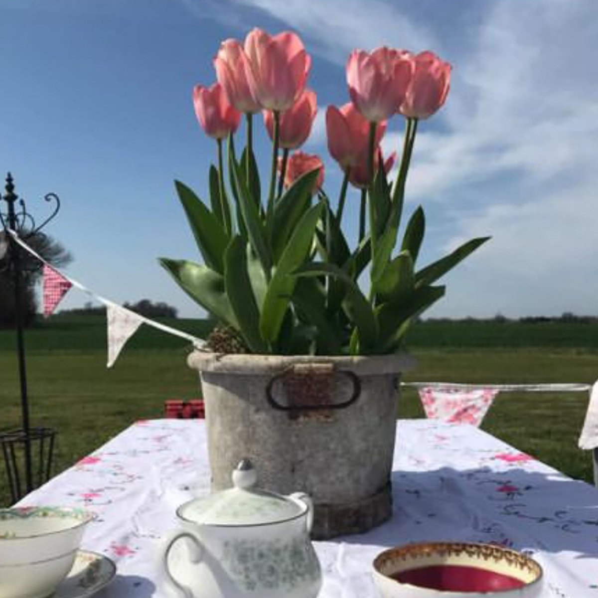sumthingcosy's tweet photo. @voilamaison #homestaging #homestagingsells  #drmaison #sellyourmaison follow on #insta https://t.co/VXjSVIUTYH https://t.co/p3KVz9U9iP