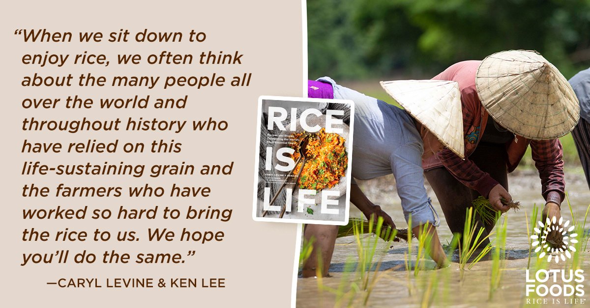 LotusFoods's tweet photo. We encourage you to choose your rice with consideration to how it's grown and the livelihoods of the farmers who grow it! Find out more in “Rice is Life” by @LotusFoods' co-founders. Pre-order here ➡️ https://t.co/fSGsLH9Ny5 #lotusfoods #rice #sustainablefarming @ChronicleBooks https://t.co/sADAH5mzni