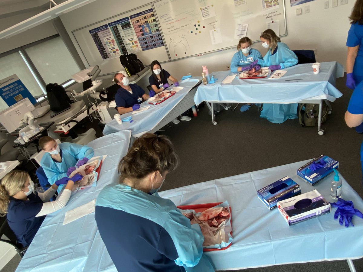 CCF School of Cardiac Ultrasound tweet media