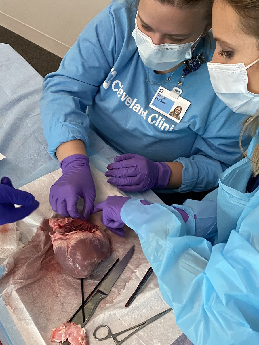 CCF School of Cardiac Ultrasound tweet media