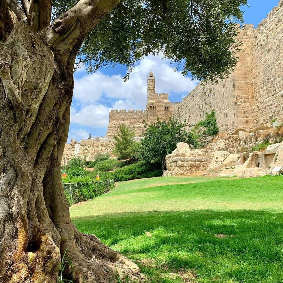 SiaraJabal_'s tweet photo. A beautiful  day  in #Israel https://t.co/Rxl6rRrse8