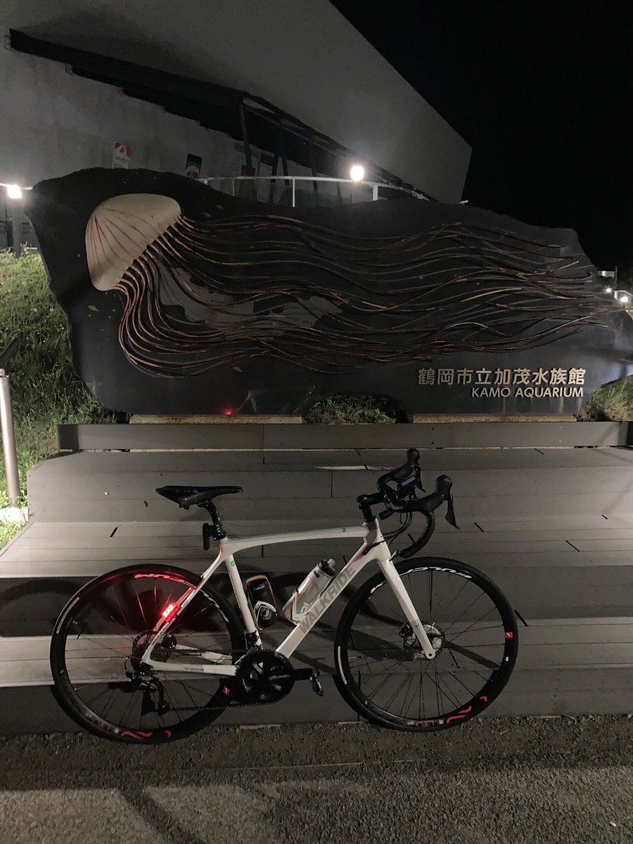 buuhchan's tweet photo. こんばん加茂水族館
なんだか100年ぶりくらいに自転車乗った気がする…

#加茂水族館
#wr2lr https://t.co/OZK8r8XNQh