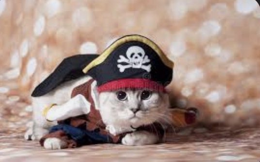 curlycarli83's tweet photo. #JohnnyDeppRises #JohnnyDeppWithKittens #JohnnyDeppWithCats #DeppMovieNight #TalkLikeAPirateDay #HoistTheColoursHigh https://t.co/05HAGD4K89