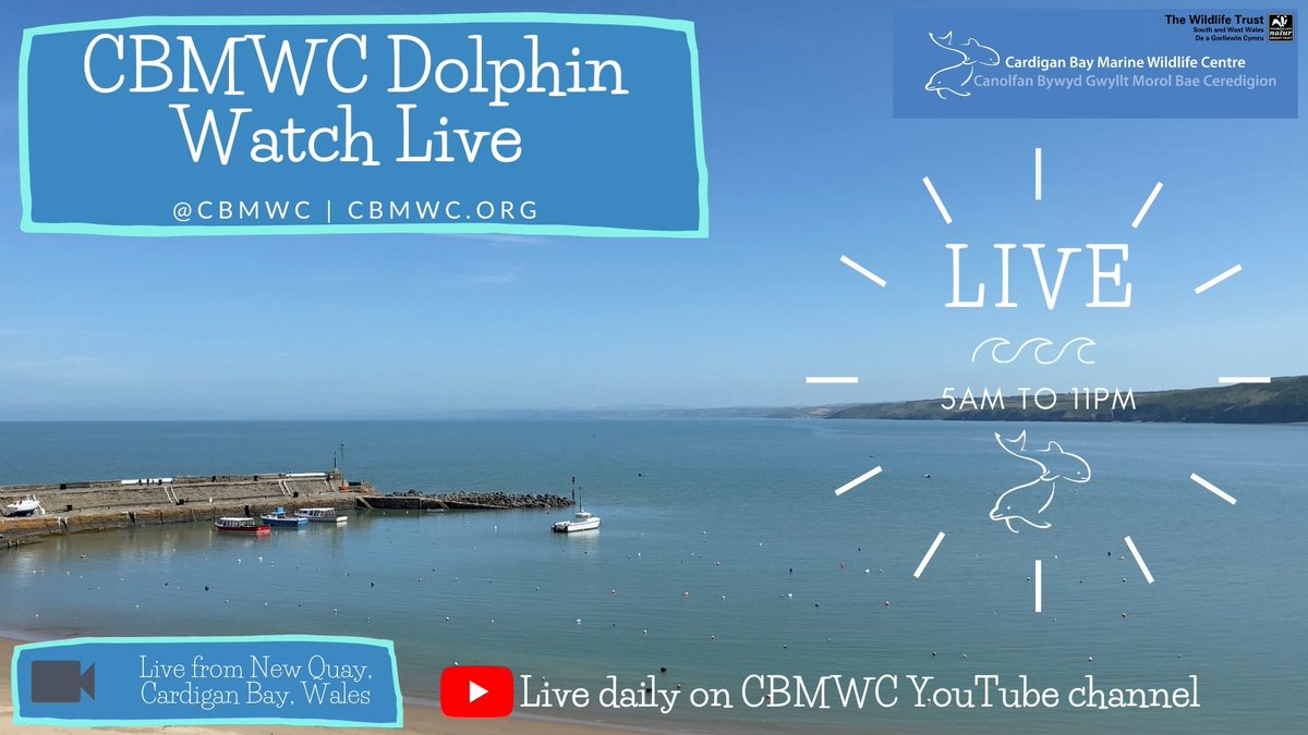 CBMWC's tweet photo. 👀 Don't forget that you can watch dolphins from your own home with our #DolphinWatchLive webcam! 🏡🐬 

Subscribe here 👉 https://t.co/LyQPWmo8ON 

@WTSWW @WTWales https://t.co/TEepcSuN4b