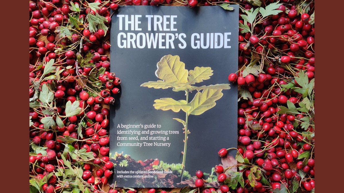 MoorTrees's tweet photo. It's here! #TheTreeGrowersGuide - Find clear expert advice including step-by-step guides, illustrations & growing calendars on what species to grow & how to collect, handle, stratify & germinate seeds. Buy now: https://t.co/1rmJz7xmK1 @TheTreeCouncil @NorfolkCC @CornwallCouncil https://t.co/59Jo4jOgO9