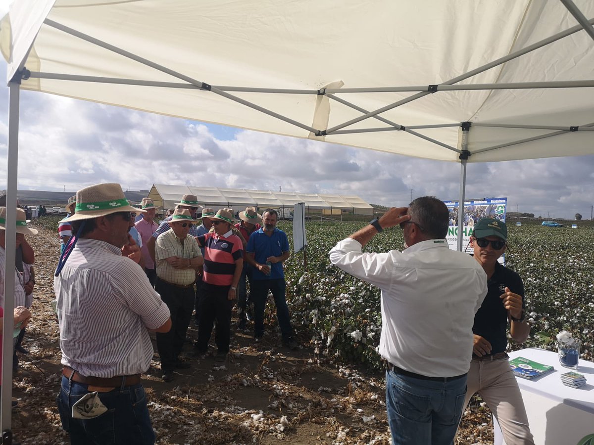 CuadernoAgrario's tweet photo. 📹Hacemos el circuito de @guadalsem en #IXExpoalgodon en #Lebrija, #Sevilla 🌱💨 https://t.co/VhCmLNjUub