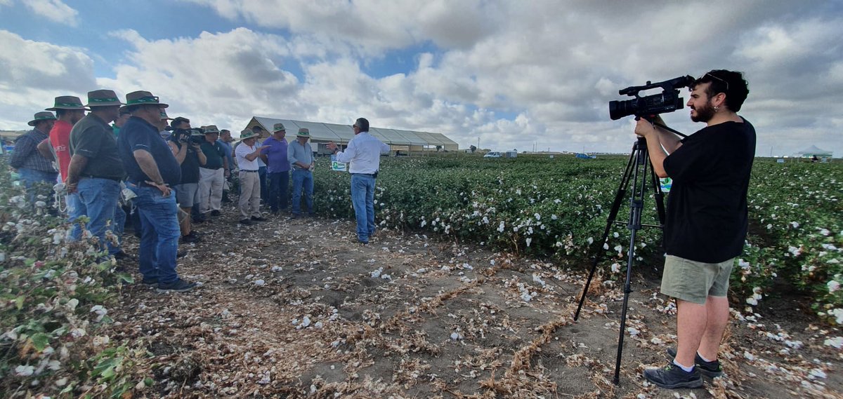 CuadernoAgrario's tweet photo. 📹Hacemos el circuito de @guadalsem en #IXExpoalgodon en #Lebrija, #Sevilla 🌱💨 https://t.co/VhCmLNjUub