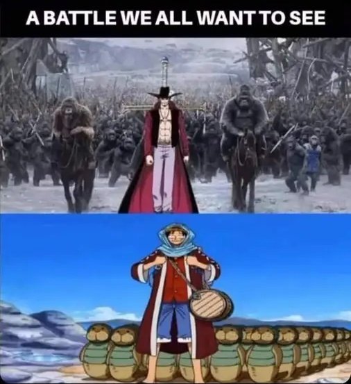 One Piece Memes tweet media