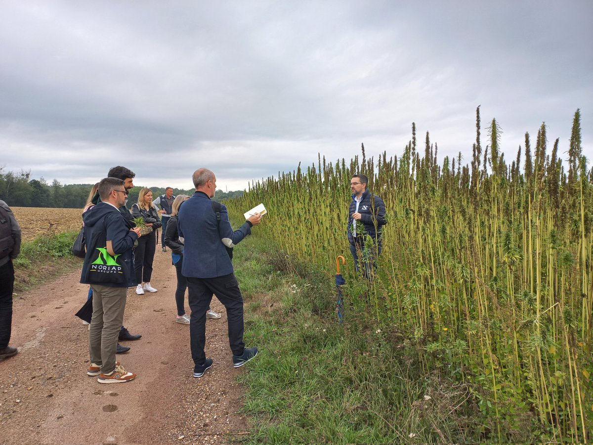maisonsetcites's tweet image. Nous organisons aujourd'hui un voyage de presse pour faire découvrir le #bétondechanvre (#ecomatériau utilisé pour isoler les #logements) et notre projet de création d'une filière de production en @hautsdefrance. 1ère étape : un site de production à #Fricamps avec @noriapcoop
