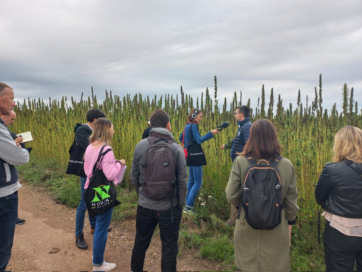 maisonsetcites's tweet image. Nous organisons aujourd'hui un voyage de presse pour faire découvrir le #bétondechanvre (#ecomatériau utilisé pour isoler les #logements) et notre projet de création d'une filière de production en @hautsdefrance. 1ère étape : un site de production à #Fricamps avec @noriapcoop