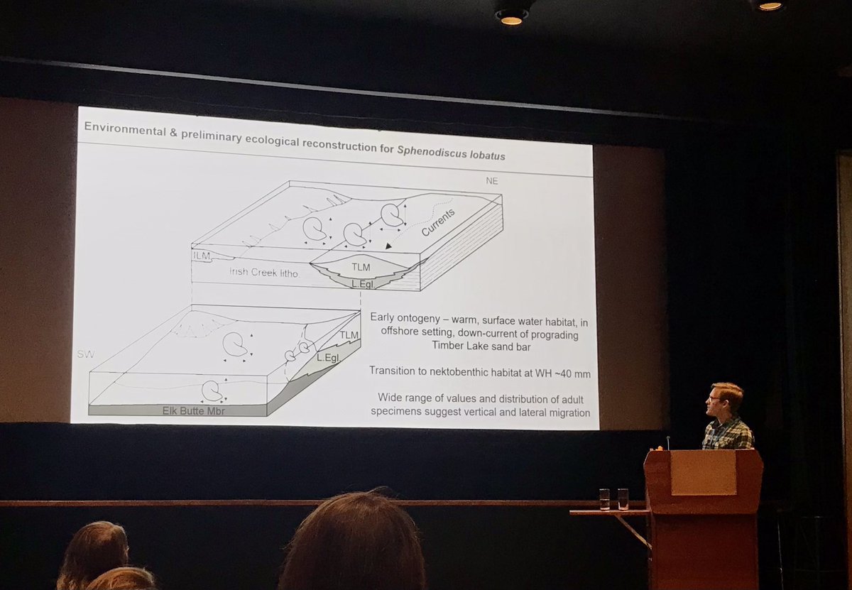 Alison_Rowe's tweet image. Day 3 @iscpp11 great talk from @jdwitts on preliminary ecological reconstructions for sphenodiscus @NHM_Cephalopoda