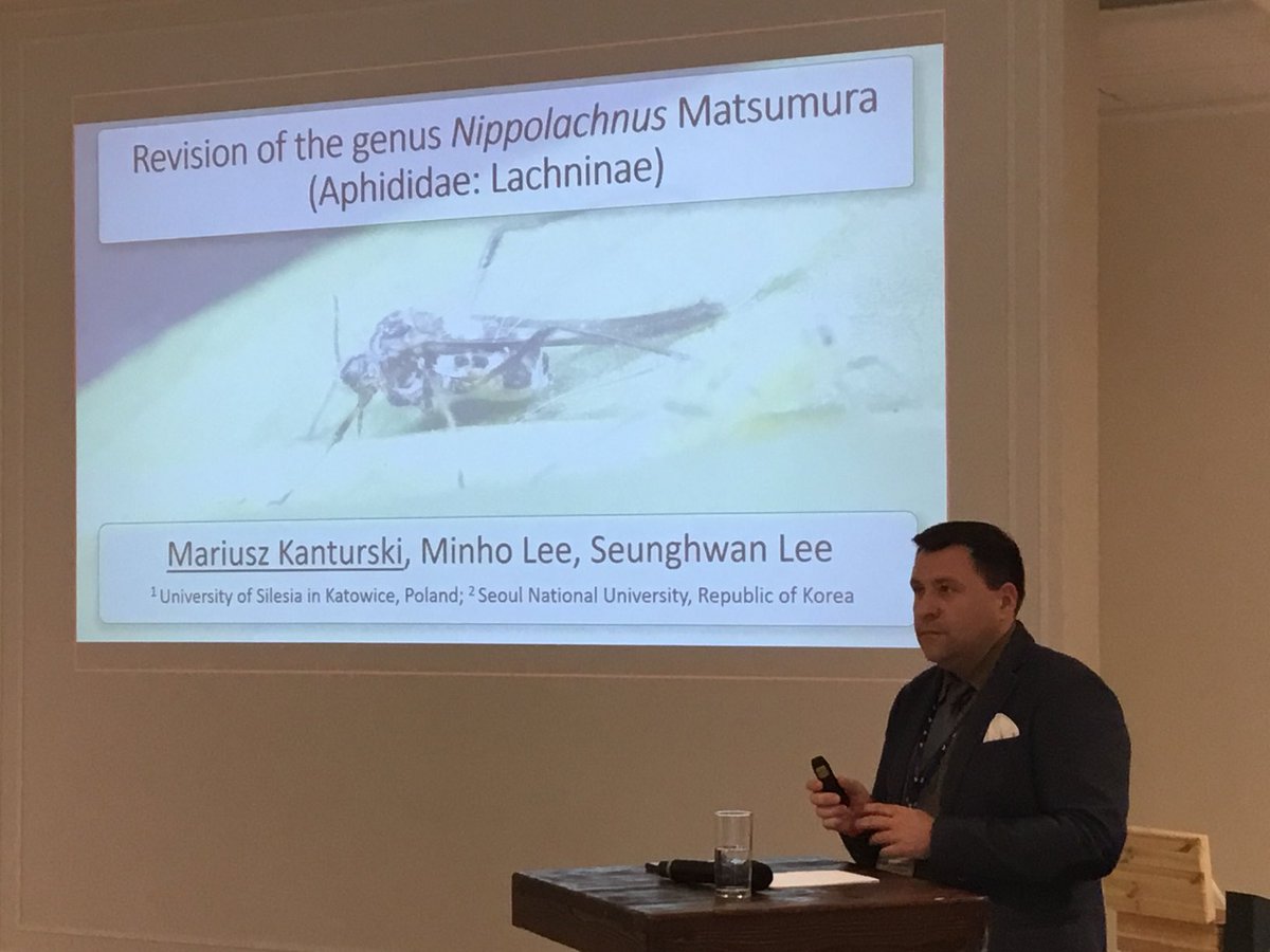ColinFavret's tweet photo. Mariusz Kanturski, the principal organizer of the #11ISA , is presenting at his own conference: the genus Nippolachnus, peculiar as a leaf-feeding Lachninae (that normally feed on woody parts of their host) https://t.co/uw0mPezcUr