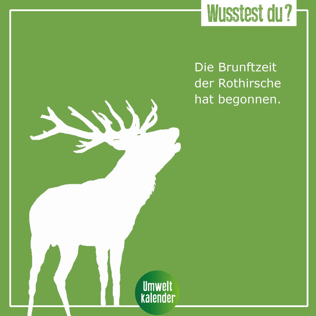 UmweltkalenderB's tweet photo. 🦌 Alle Jahre wieder beginnt Anfang September die Brunftzeit der eindrucksvollen Tiere. Beim Kampf um die Weibchen kann ein Rothirsch schon mal gut 75 Dezibel laut werden. Das entspricht etwa einem Autoauspuff oder einem Staubsauger.
Schönes Wochenende! https://t.co/GyqAR5AtuB