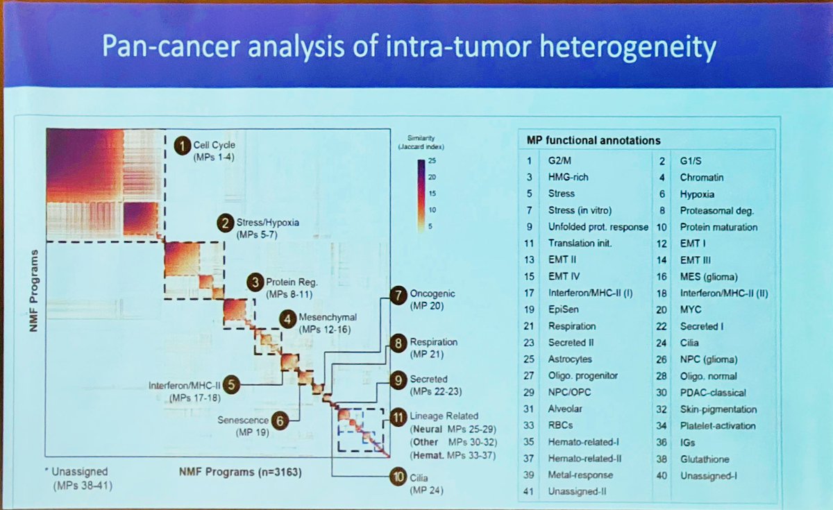 ara_anderson's tweet photo. Next up is Itay Tirosh presenting, Pan-cancer analysis of intra-tumor heterogeneity #BCB22 https://t.co/At98Y3cQGl