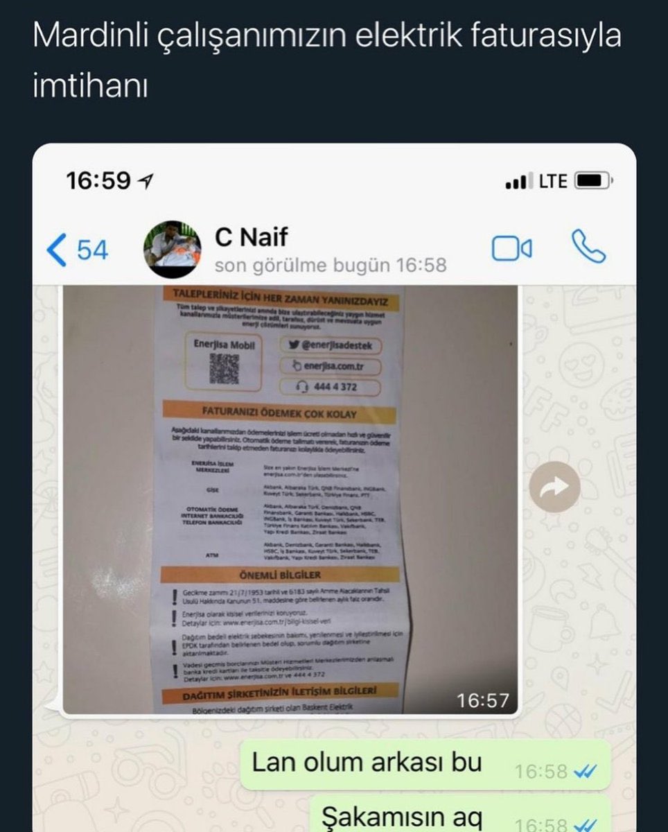 Tutmayann tweet media