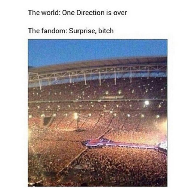 Sarah_82167's tweet photo. #OneDirection #12yearsofonedirection https://t.co/bprdZaVHWv