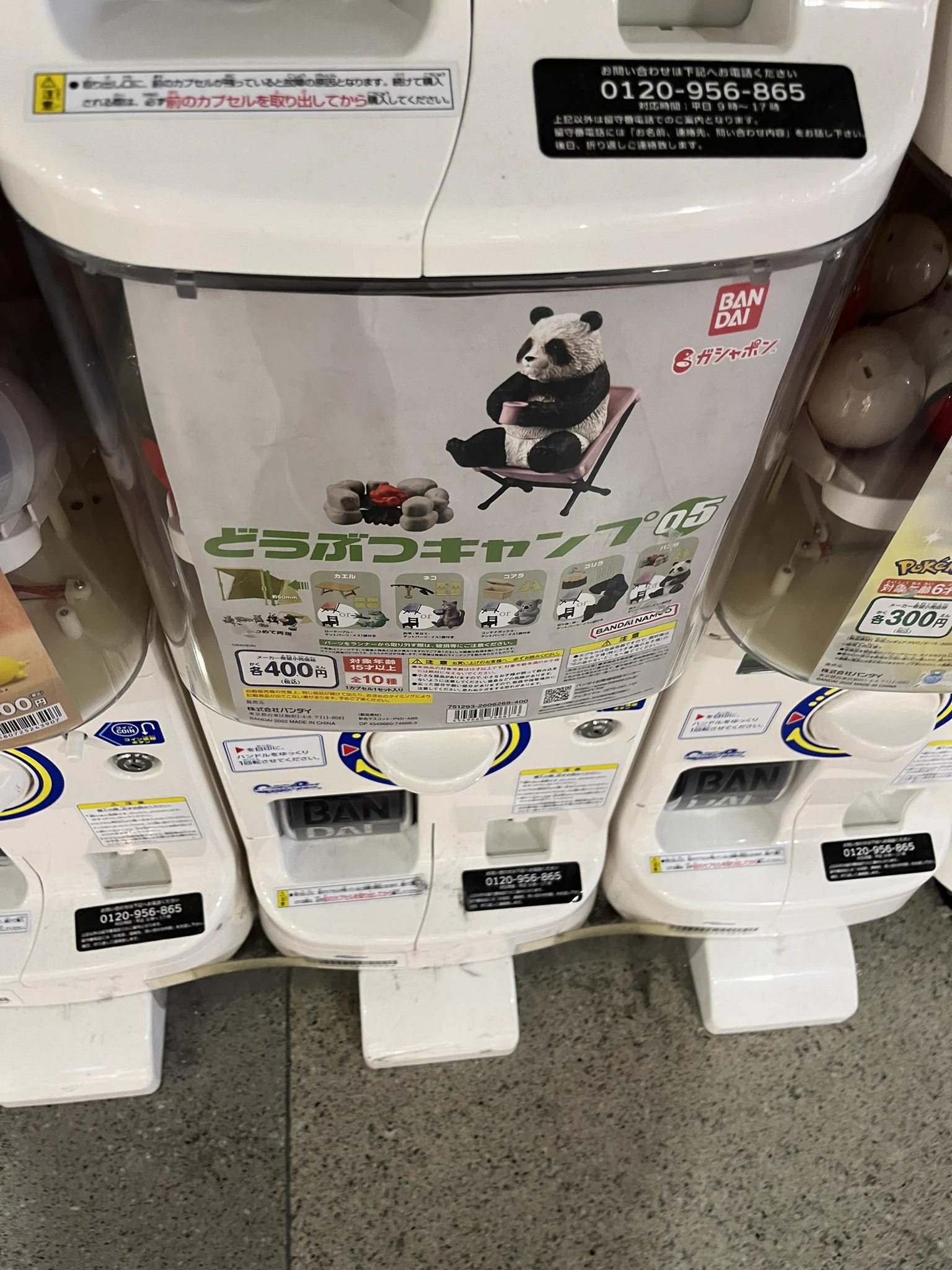 @kumapmaple あった… 