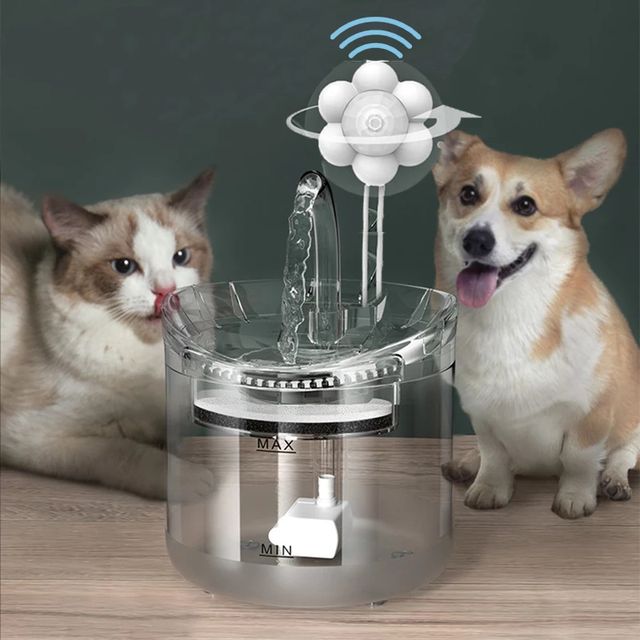 YuStoreBestDeal's tweet image. Buy 2L Intelligent Cat Water Fountain With Faucet Dog Water Dispenser Transparent Drinker Pet Drinking Filters Feeder Motion Sensor at yustore.online! Free shipping to 185 countries. 45 days money back guarantee. yustore.online/2l-intelligent…