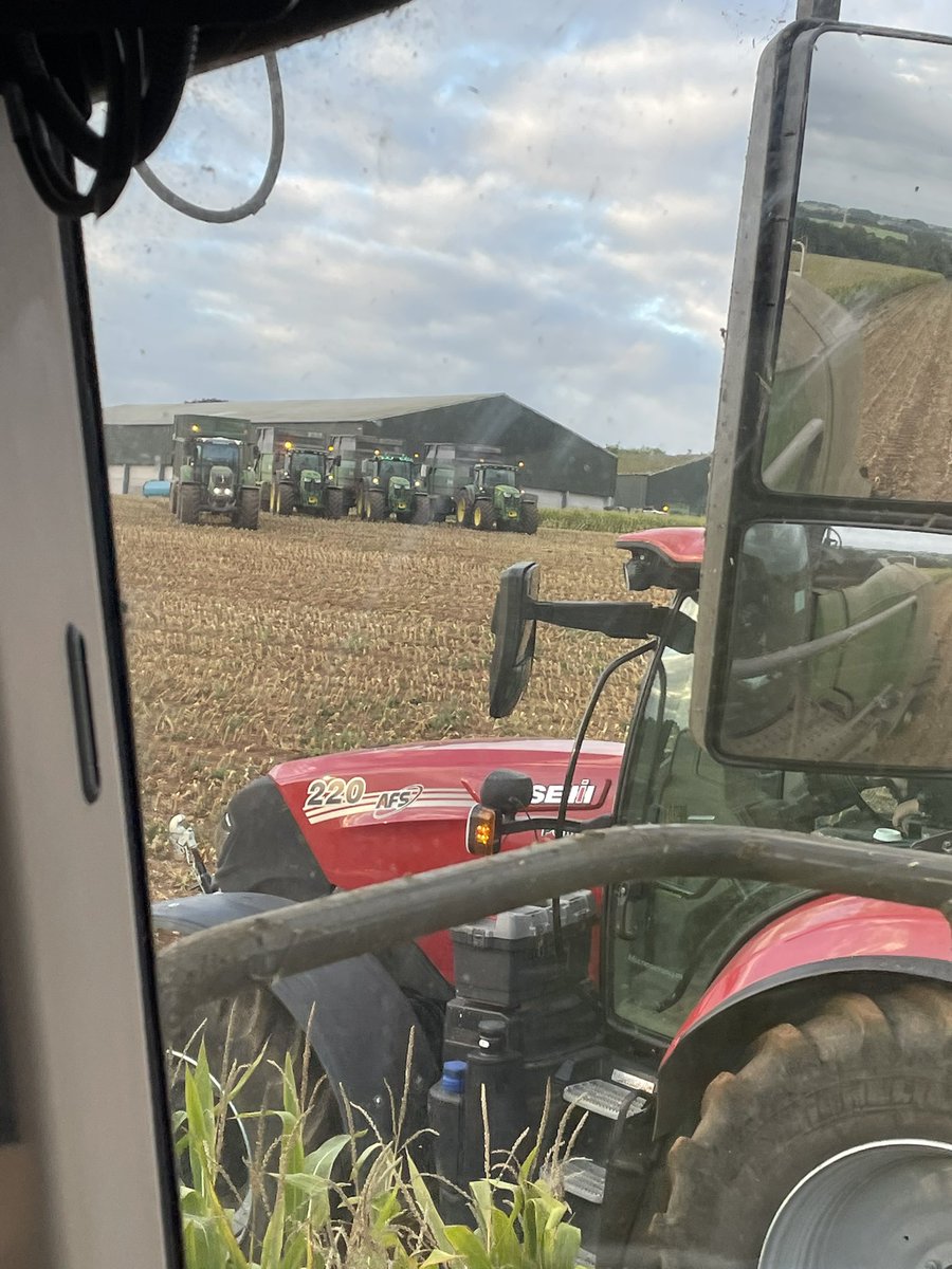 neilwalk's tweet photo. Morning rush hour queue #maize https://t.co/GP1IsO6PbW