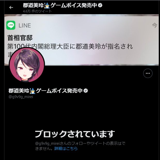 郡道美玲ブロックチャレンジ Twitter Search Twitter