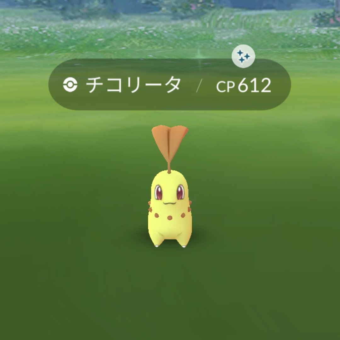 81 Bf Twitter Search Twitter 81 Bf Twitter Search Twitter