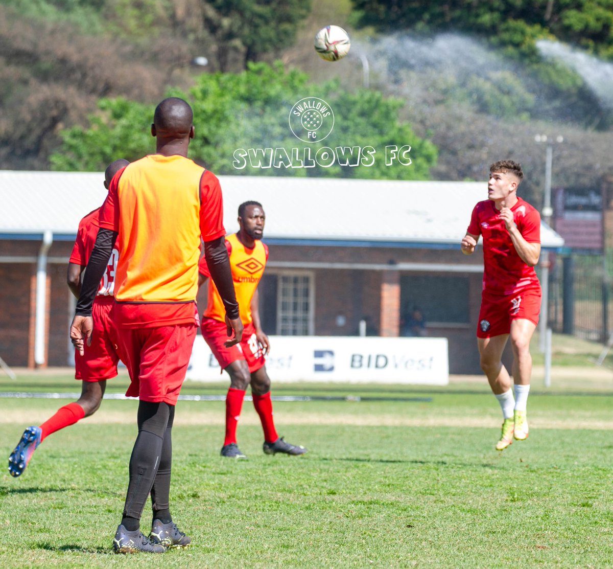 Moroka_Swallows's tweet photo. The POWER to DECIDE who participates is on us. This can be done by grabbing a promotional #CarlingBlackLabel beer, dialing *120*660# &amp; following the prompts to ensure that the #DUBEBIRDS takes to the field when the #CarlingCup gets underway
 #VoteSwallows
https://t.co/M09eMoJU94 https://t.co/wc1cDSqgHO
