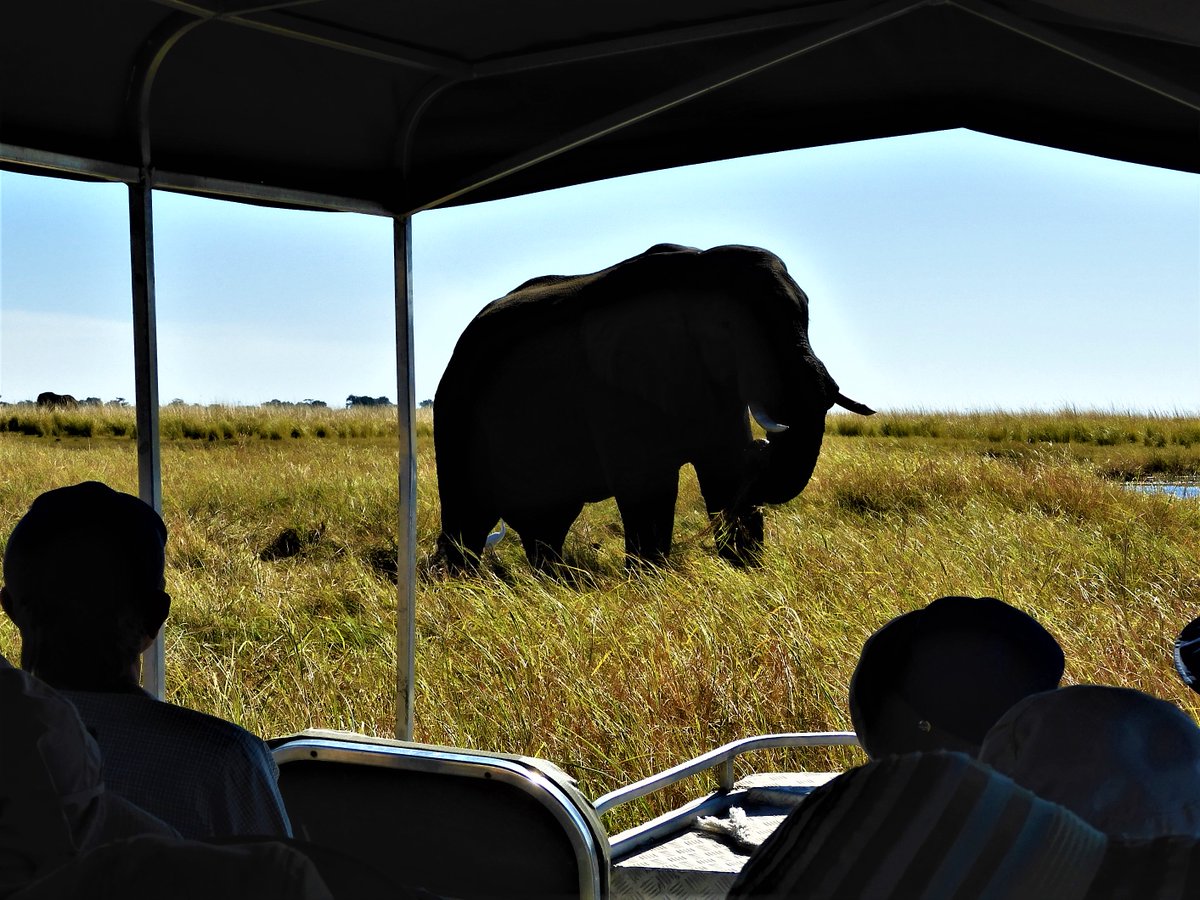 ボツワナ共和国 Twitter Search Twitter