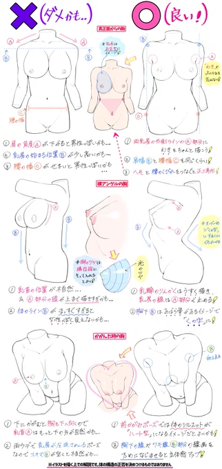 女性の身体デッサンが上達しやすいコツ

「下手に見えやすい例❌」

「上手に見えやすい例⭕️」

『吉村拓也のイラスト講座の図書館📚』👇
https://t.co/UKiQpTPtxd 
