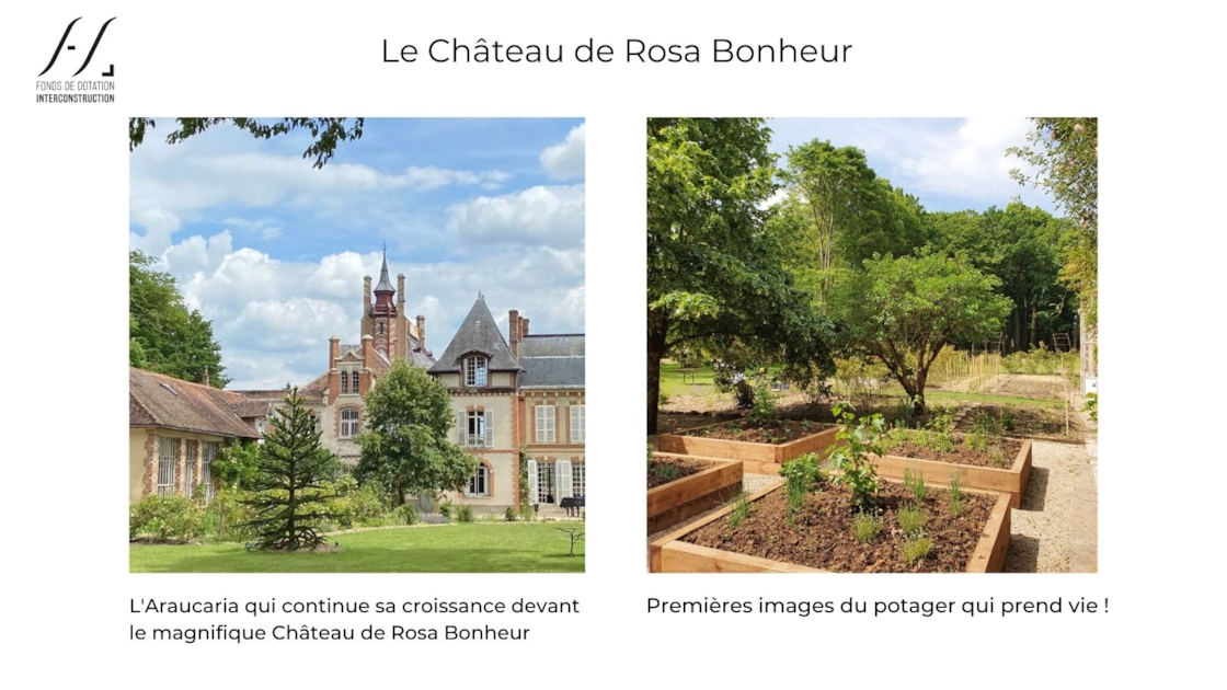 Voici quelques nouvelles en image, de l'#Araucaria que nous avions planté il y a 1 an dans le parc du CHATEAU #RosaBonheur, ainsi que celle de la rénovation du #potager qui a bien commencé !
Fiers de contribuer à la sauvegarde de ce patrimoine français exceptionnel !