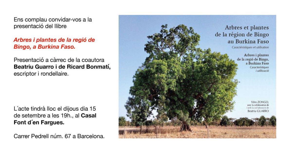 Beatriu Guarro فلسطين ولبنان حرة tweet media