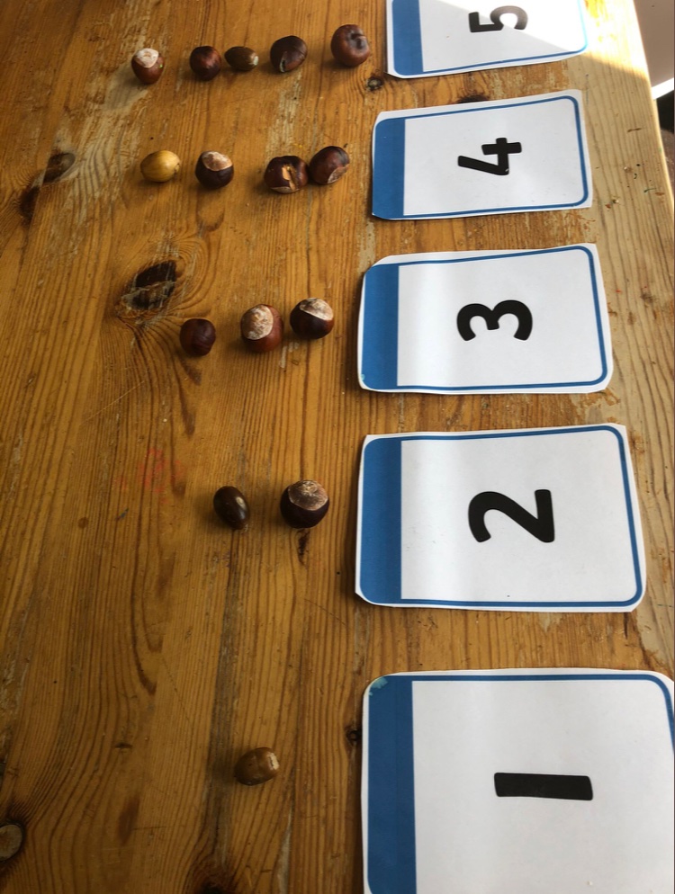 OpyMrs's tweet photo. Cardinal numbers - used for counting. Practising counting out a number of items. The cardinal number will tell us how many in an assemblage. #CardinalNumbers #counting #EYFS #Maths #Conkers https://t.co/oZO5EvS2JZ