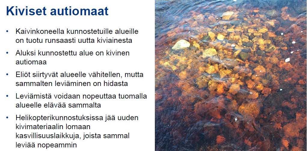 Äärimmäisen uhanalaisen #järvilohi:n elinolosuhteita parannettiin Freshabit:ssä siirtämällä vesisammalia konekunnostetuille alueille Ala-Koitajoessa. Sammalet suojaavat järvilohen poikasia pedoilta ja tarjoavat ravintoa, kertoi <a href="/POSELYkeskus/">Pohjois-Savon ELY</a>:n Helena Haakana #Freshabit-semin:ssa.