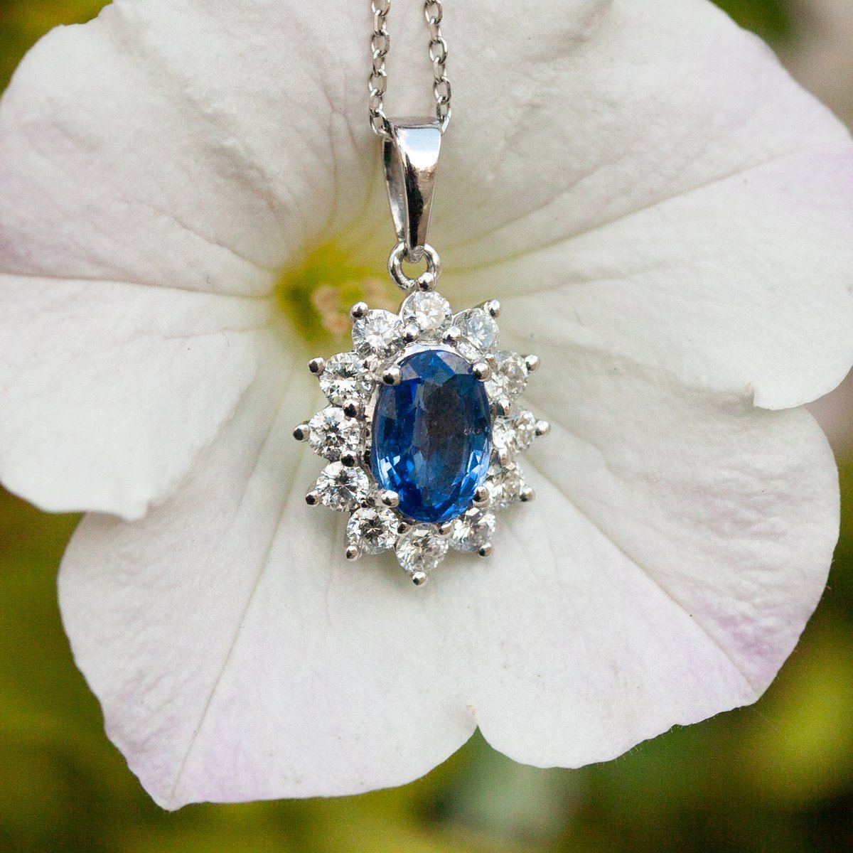 JordanJewellers's tweet photo. 💙Take a look at this gorgeous blue sapphire and diamond cluster pendant!💙
It's 18ct white gold with a stunning 1.77ct blue sapphire. 

https://t.co/kalSa9TIkl https://t.co/Vr1p4syxhW